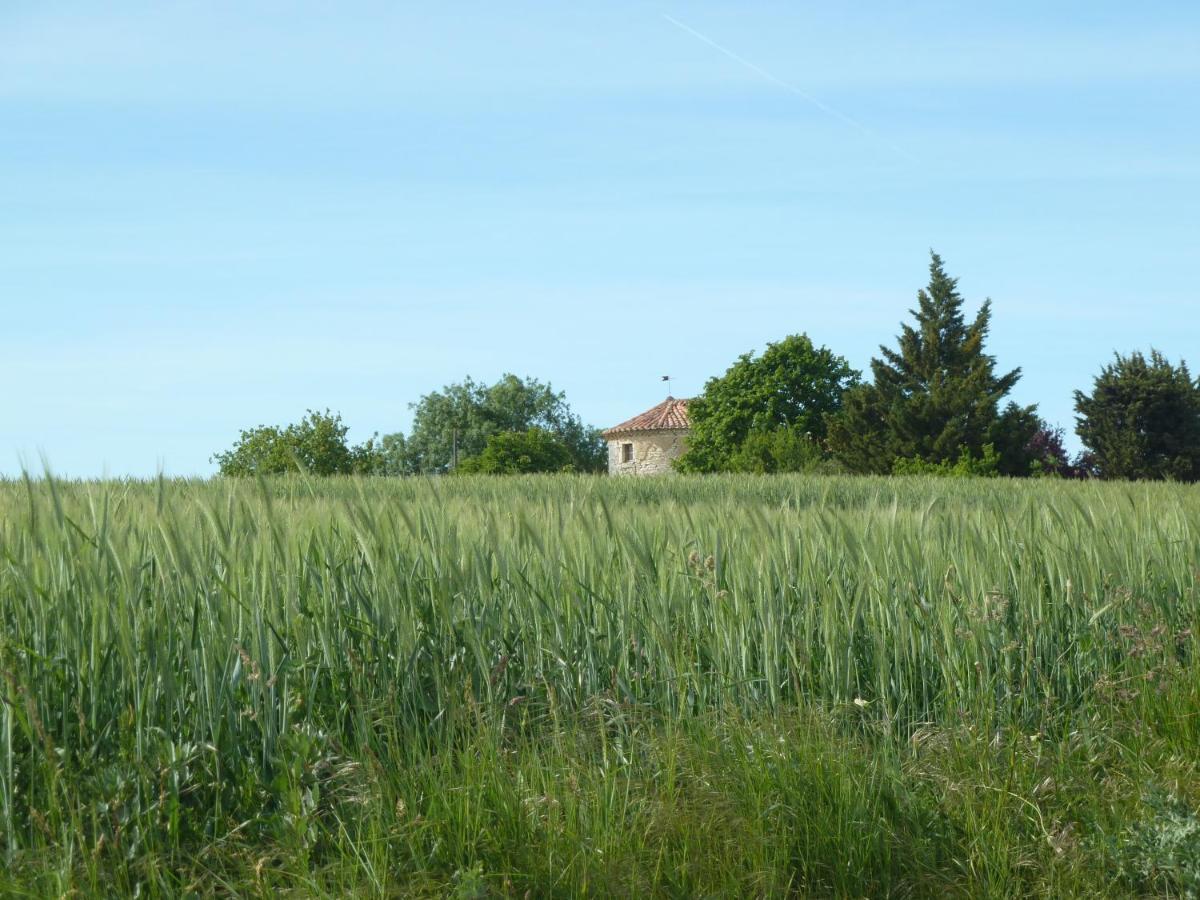 Chateau De Puissentut Homps (Gers) Exterior foto